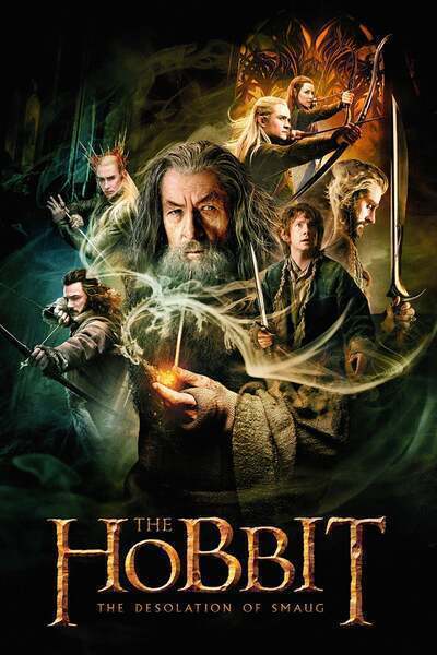 The Hobbit: The Desolation of Smaug Hindi Dubbed Movie Poster (2013)