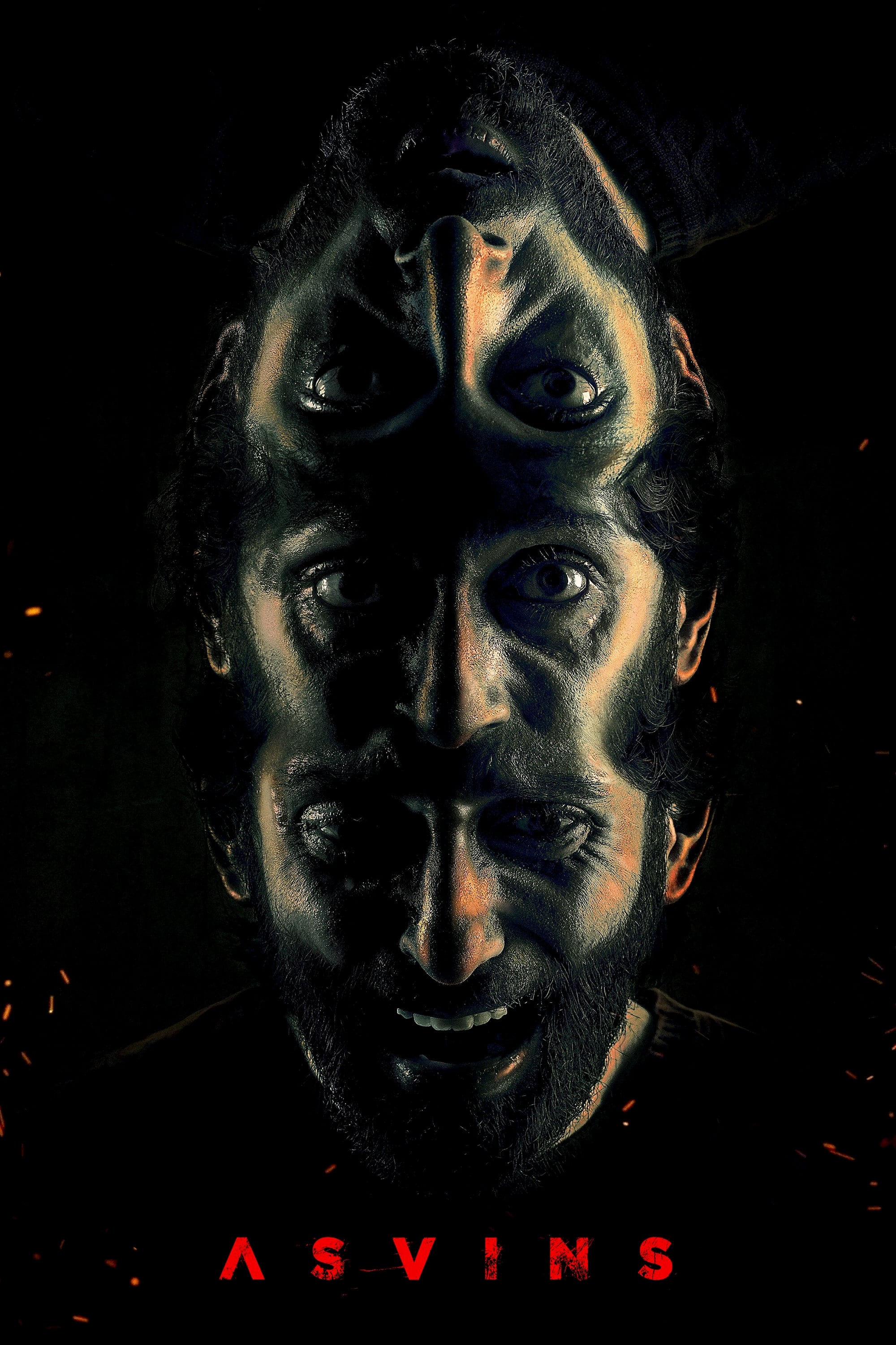 Asvins Hindi Dubbed Movie Poster (2023)