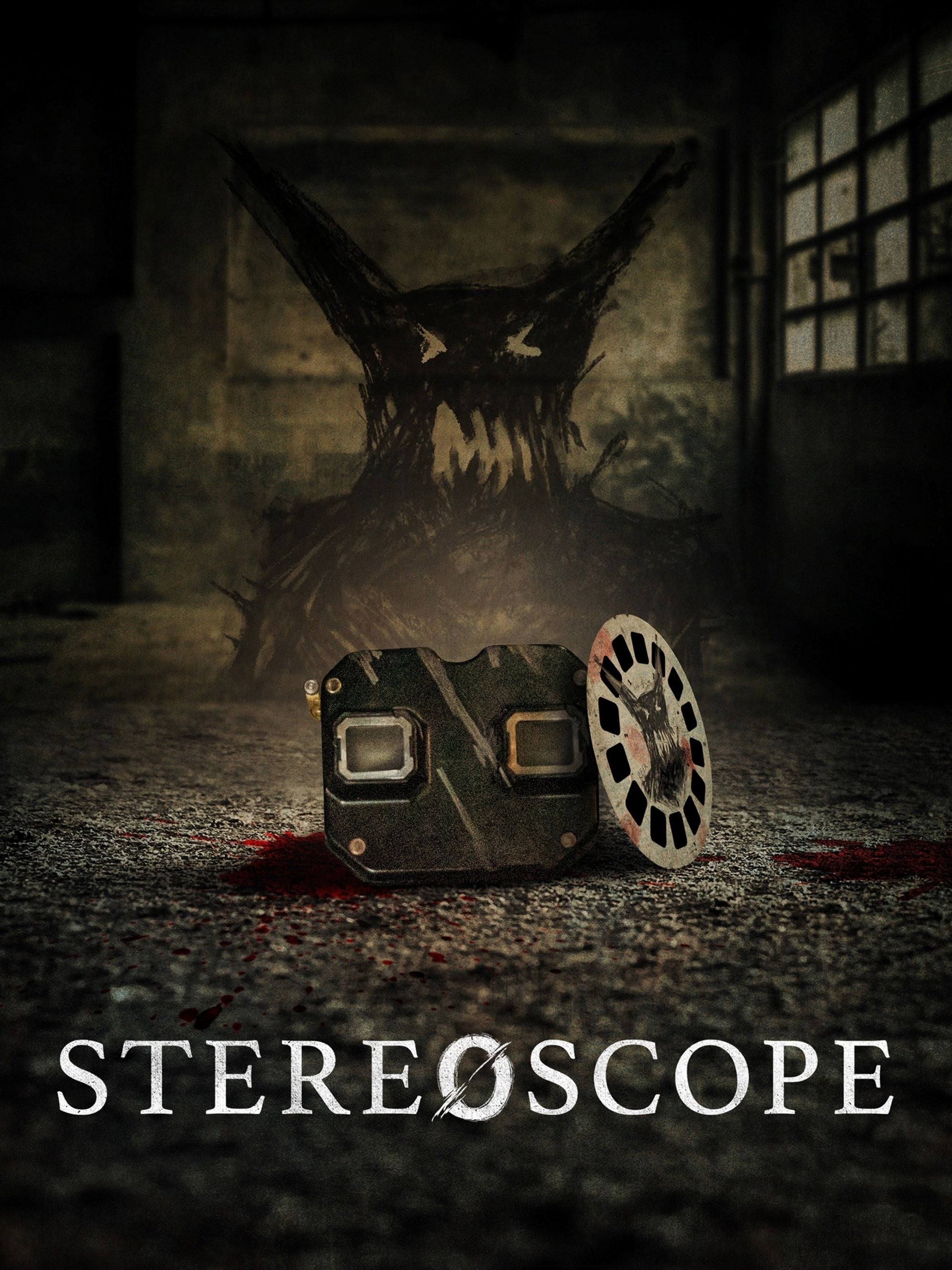 Stereoscope Hindi Dubbed Movie Poster (2024)
